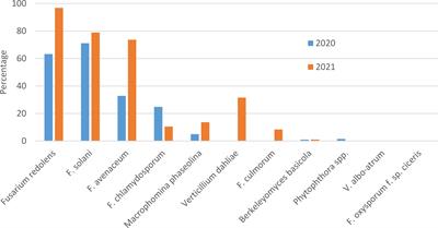 The chickpea root rot complex in Saskatchewan, Canada- detection of emerging pathogens and their relative pathogenicity